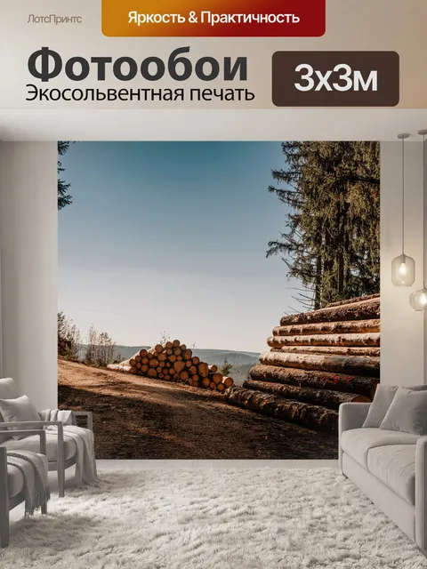 Фотообои Стволы деревьев