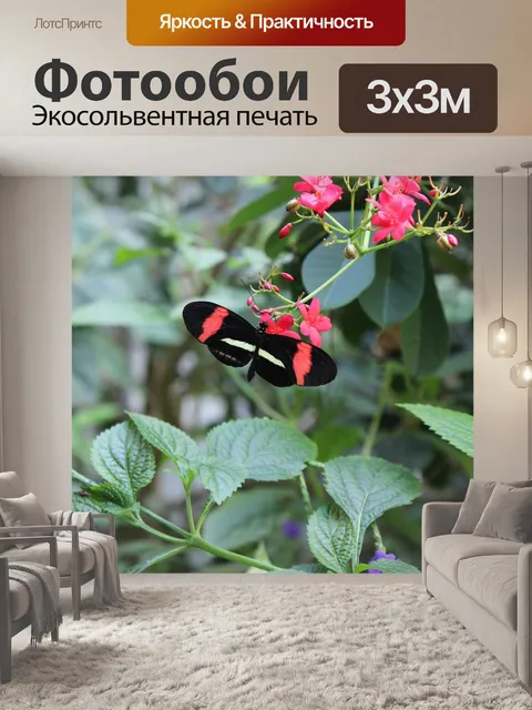 Фотообои Бабочка
