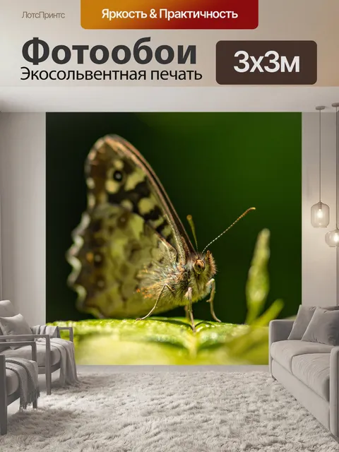 Фотообои Бабочки