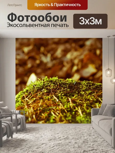 Фотообои Мох