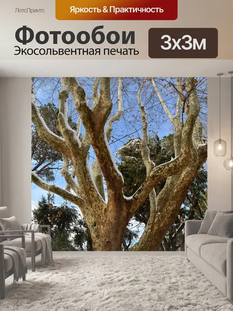 Фотообои Дерево