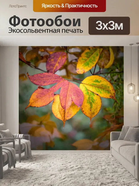 Фотообои абстракция: натуралистические элементы, стилизованные под абстракцию - листья, цветы, природа