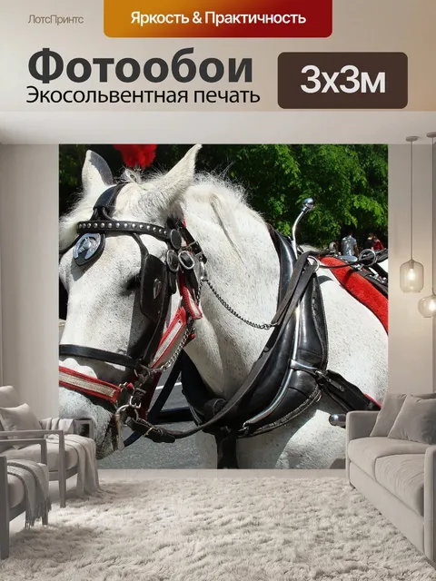Фотообои Лошадь