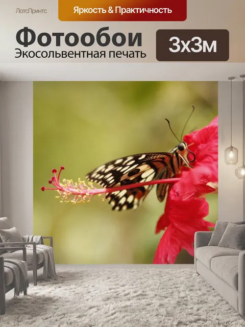Фотообои Природа