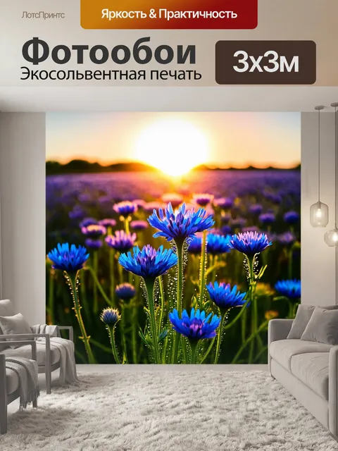 Фотообои восход солнца над бескрайними полями, усыпанными яркими васильками, цветущими в разнообразных оттенках синего