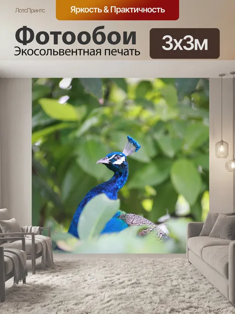 Фотообои Павлин
