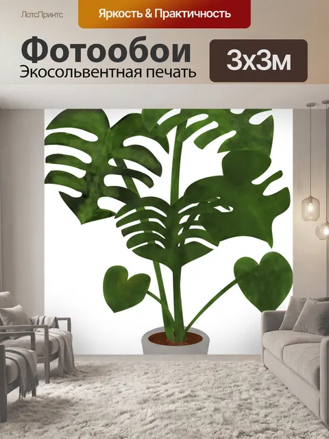 Фотообои Монстера