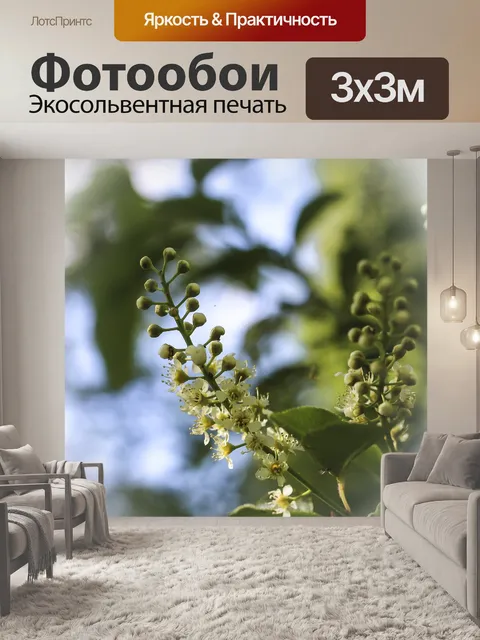 Фотообои Цветок