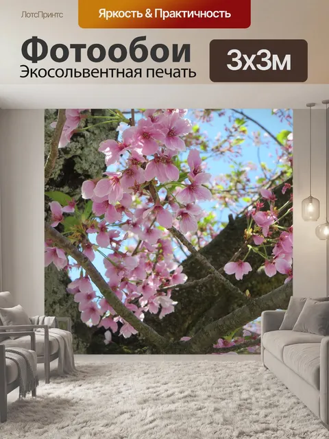 Фотообои Вишни в цвету