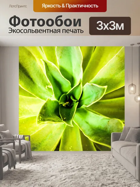 Фотообои Кактусовое пустынное растение