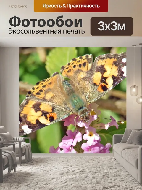Фотообои Красная бабочка