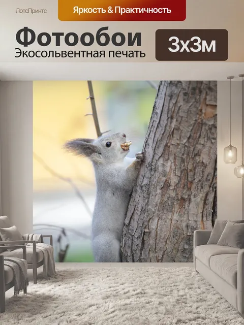 Фотообои Белка
