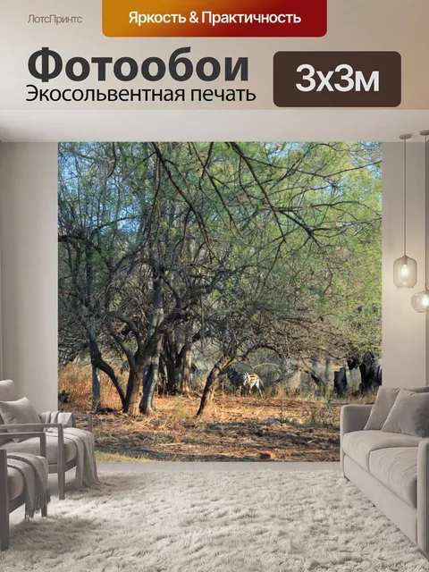 Фотообои две зебры под деревьями