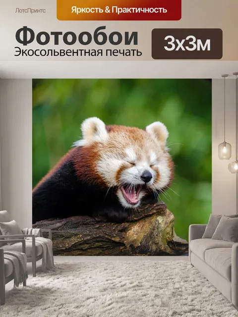 Фотообои Красная панда, Зевок