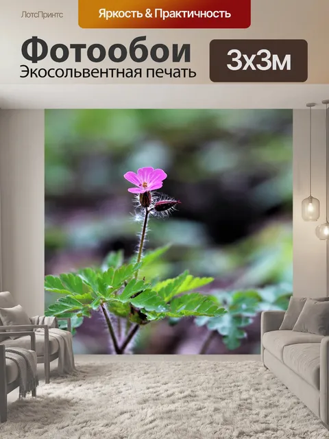 Фотообои Природа