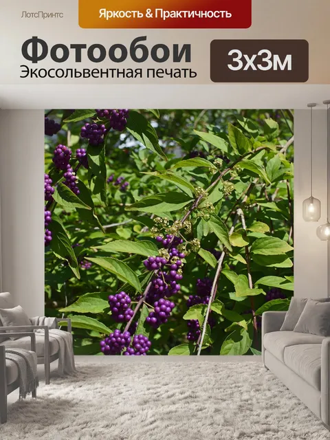 Фотообои Ягоды красоты и цветы