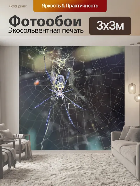 Фотообои гнездо с золотым пауком-ткачом
