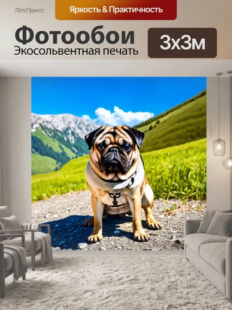 Фотообои мопс, позирующий на фоне гор, яркое небо, свежий воздух, спортивная атмосфера