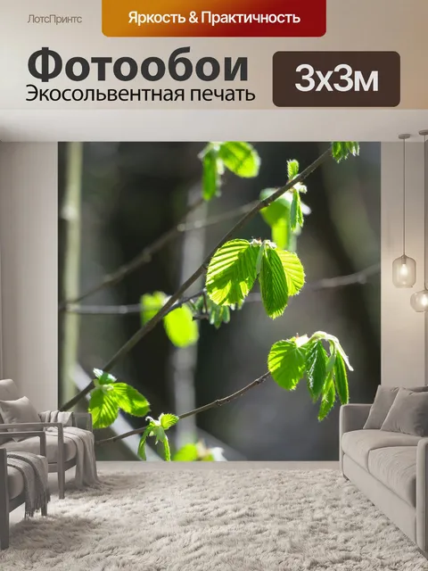 Фотообои Листья