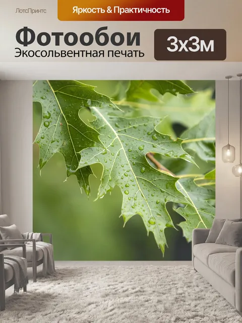 Фотообои Листья