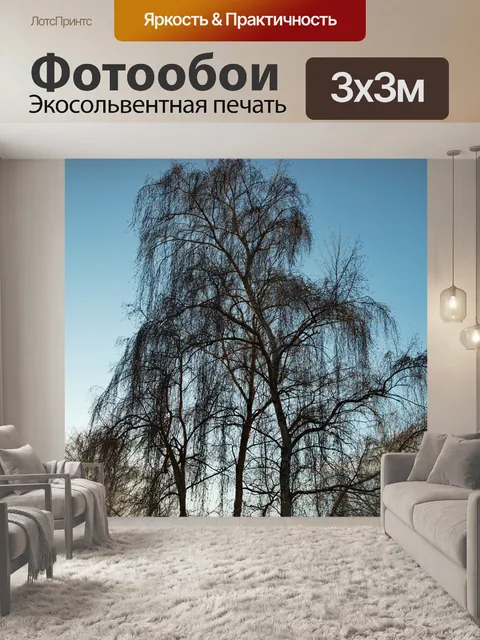 Фотообои Деревья