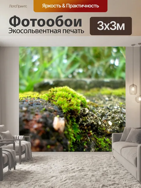 Фотообои Зеленый