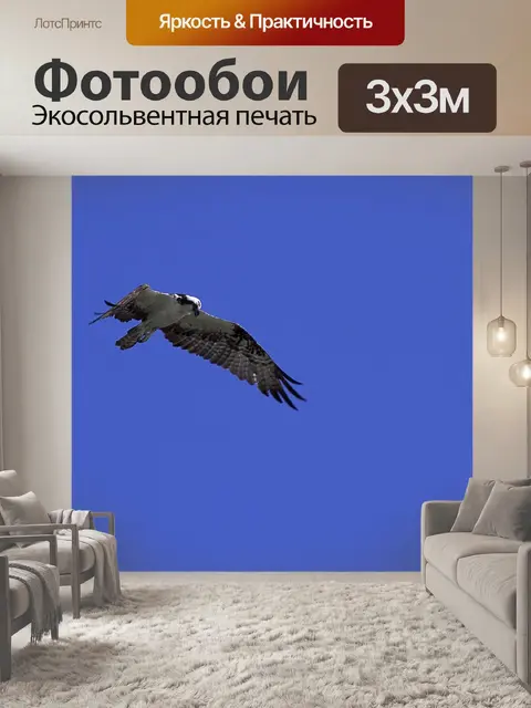 Фотообои Птицы