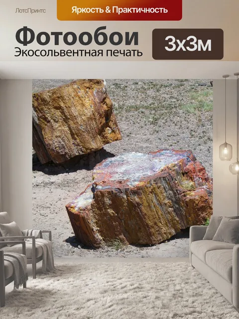 Фотообои Окаменел