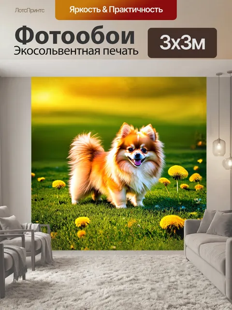 Фотообои померанский шпиц, сверкающий в лучах утреннего солнца, стоит на зеленом травяном поле, окружённом цветущими…