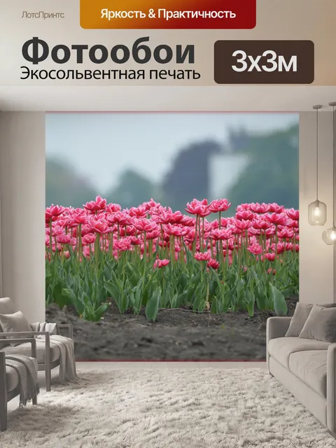 Фотообои Розовые тюльпаны