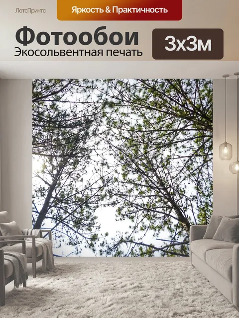 Фотообои Деревья