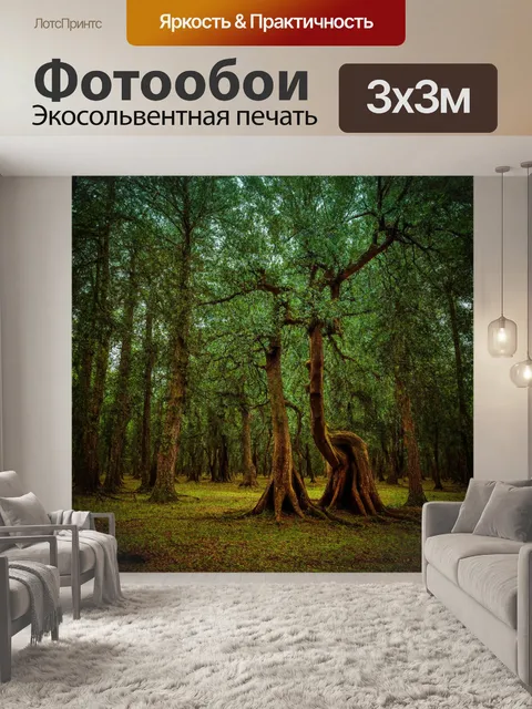 Фотообои лес в стиле минимализм, заброшенный лес с старым деревом, символика времени, акцент на текстуру дерева