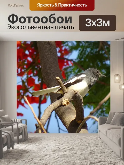 Фотообои Птица