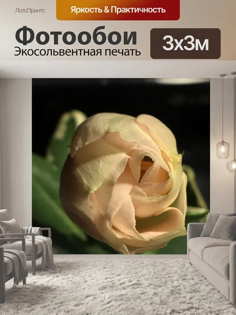 Фотообои Красавчик