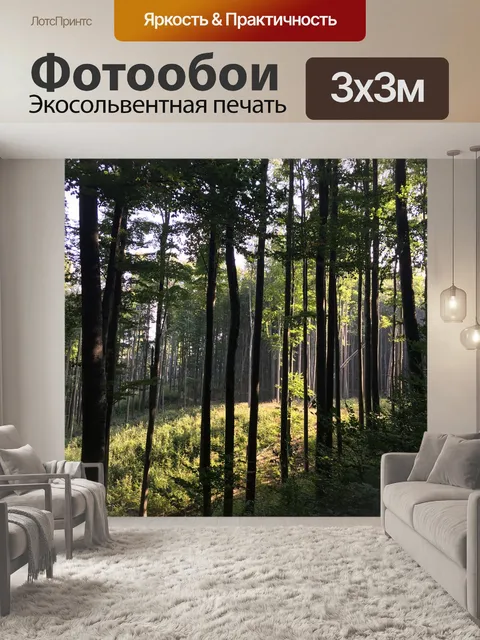 Фотообои Лес