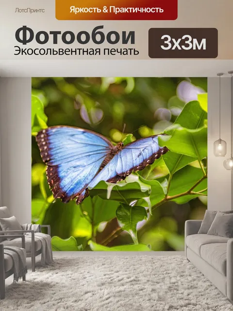 Фотообои Голубая морфийская бабочка
