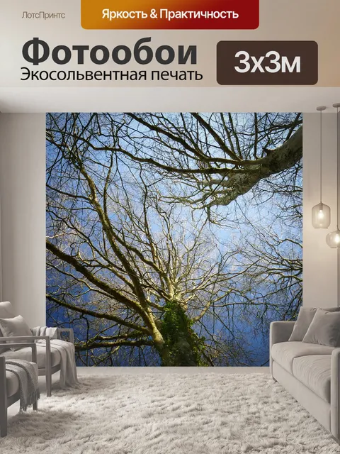 Фотообои Деревья
