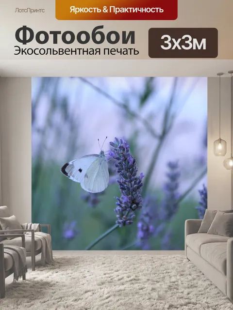 Фотообои Бабочка