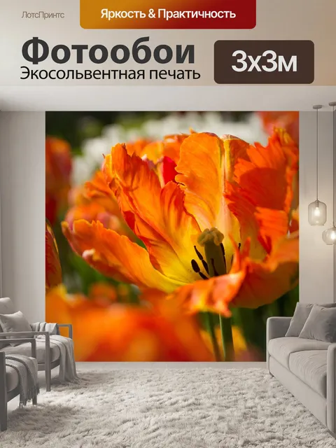Фотообои Тюльпаны