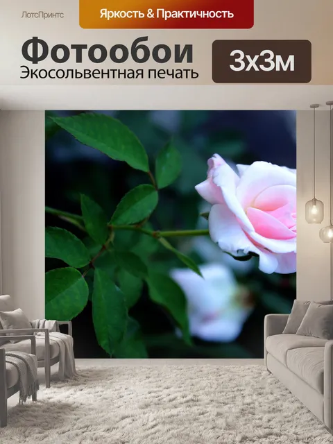 Фотообои ребенка розовая роза 2