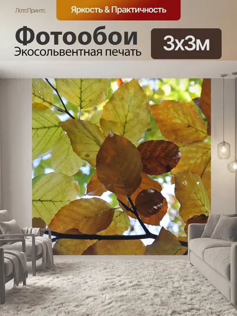 Фотообои Падение