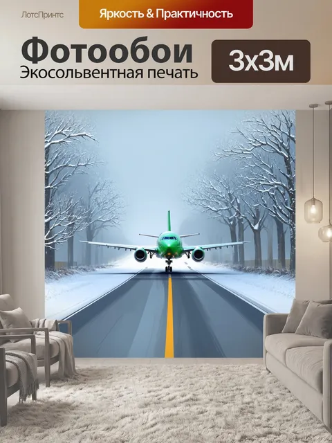 Фотообои взлетно-посадочная полоса в зимний день, в окружении снега и ледяных ветвей деревьев