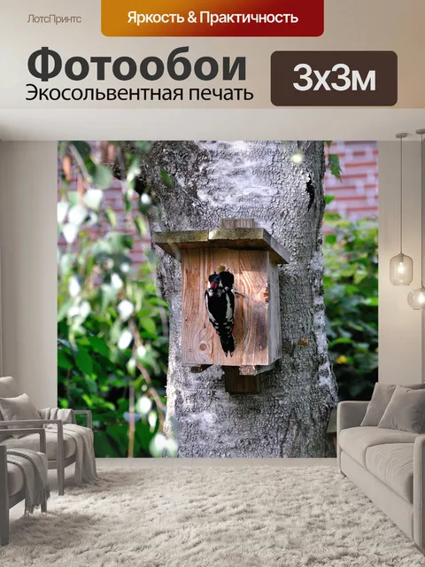 Фотообои Дятел