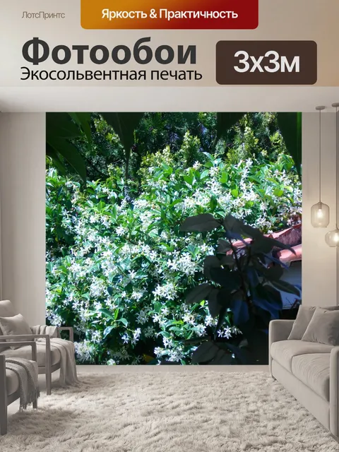 Фотообои Жасмин Помеченные на Shed