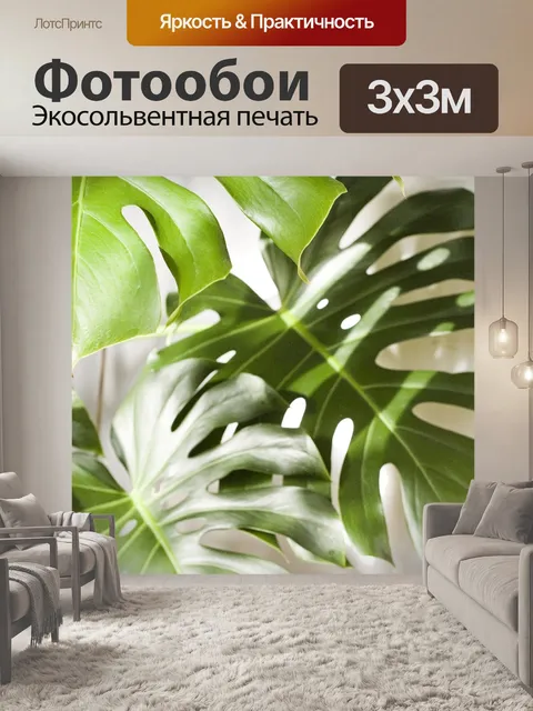 Фотообои Монстера