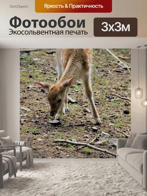 Фотообои Олень
