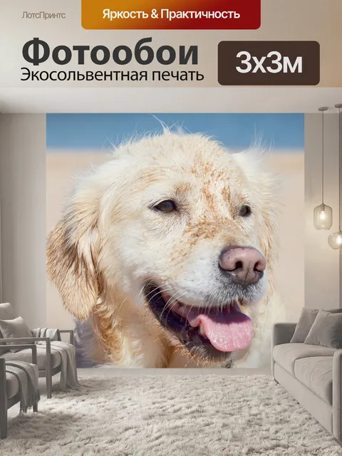 Фотообои Собака