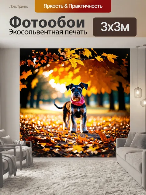 Фотообои цвергшнауцер с блестящей черной шерстью стоит на фоне осеннего парка
