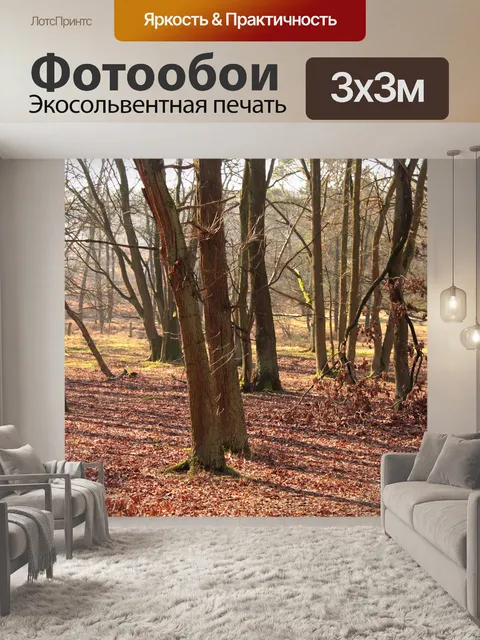 Фотообои Фон