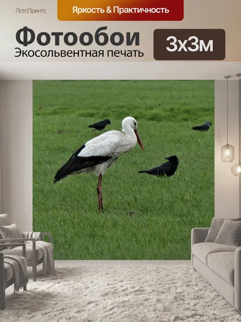 Фотообои Аист